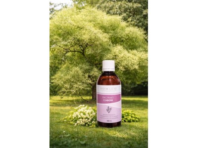 Софора японская для сосудов: натуральная поддержка капилляров и микроциркуляции