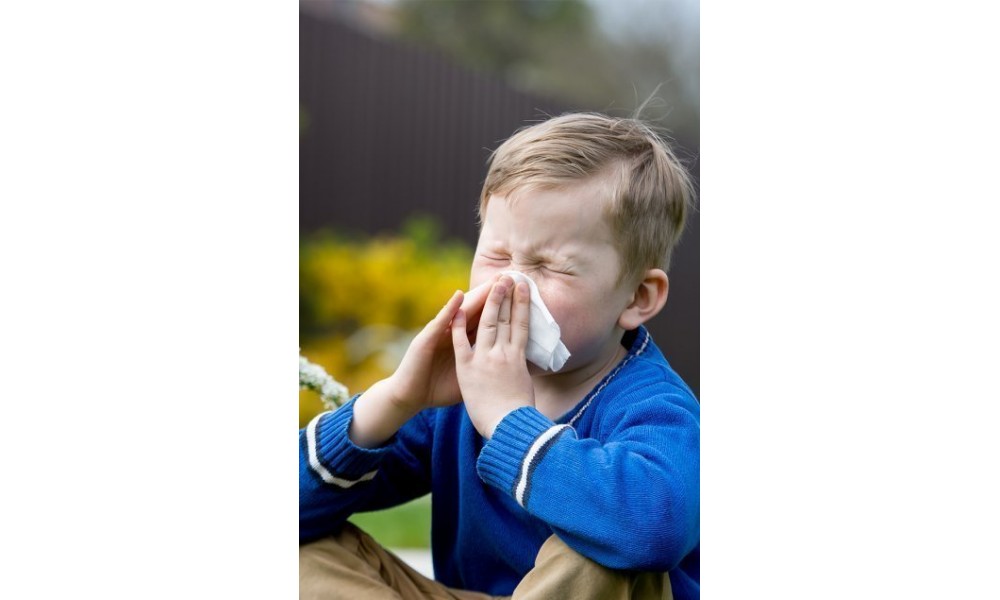 Поліноз - пилкова алергія і продукція Нове життя
