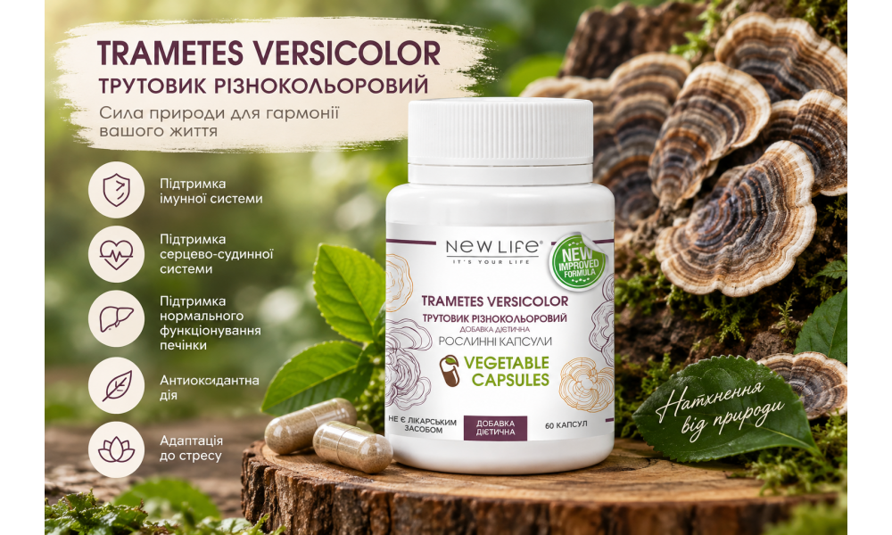 Траметес разноцветный (Trametes versicolor): что это за гриб и чем интересна новинка NEW LIFE