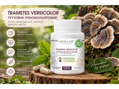 Траметес разноцветный (Trametes versicolor): что это за гриб и чем интересна новинка NEW LIFE