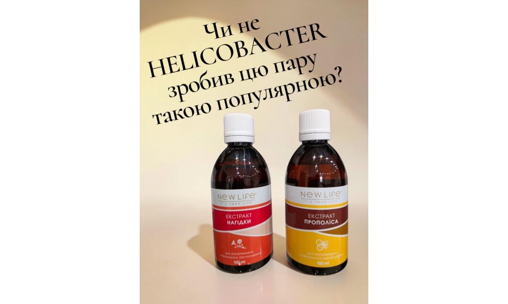 Helicobacter pylori, прополис и календула: почему это сочетание привлекает внимание