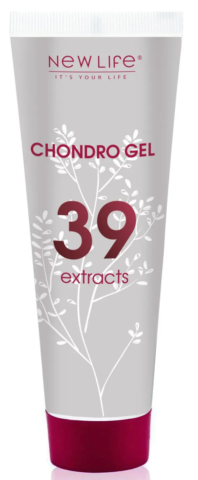 Хондро Гель - Chondro Gel - 39 екстрактів з глюкозаміном і хондроїтином ...