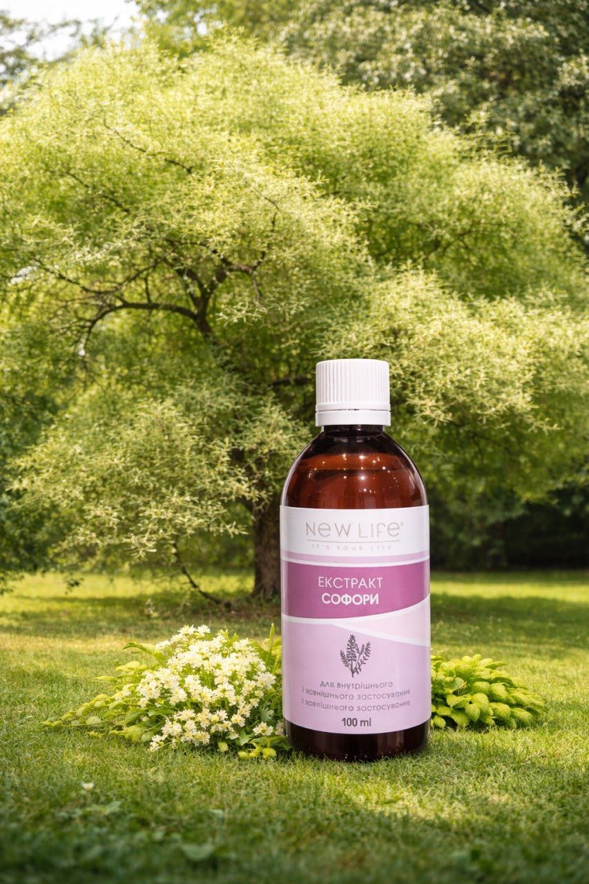 Софора японська для судин, капілярів і мікроциркуляції — натуральна підтримка судинної системи