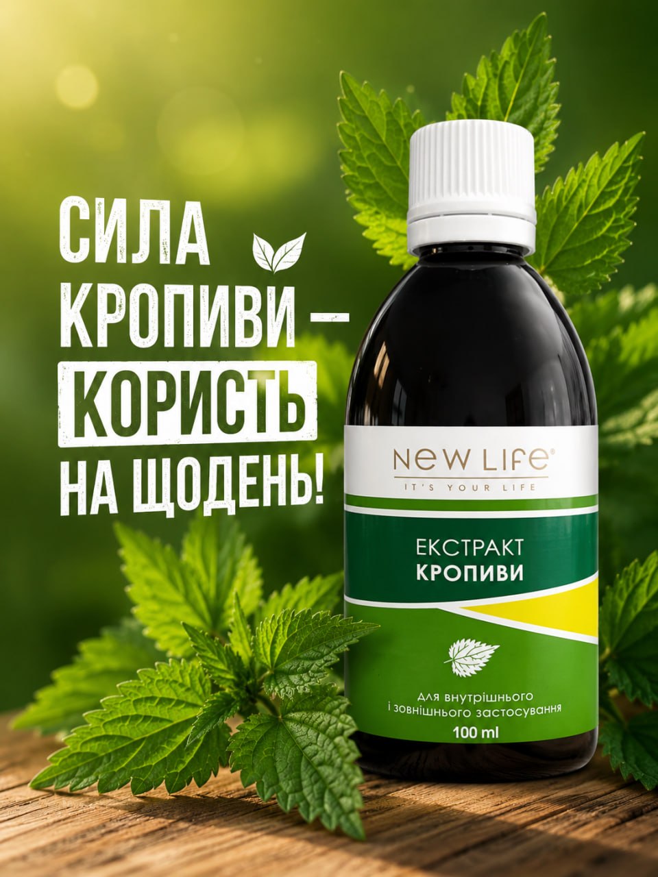 Крапива — природная поддержка крови, сосудов и иммунитета Крапива польза для организма гемоглобин сосуды иммунитет волосы