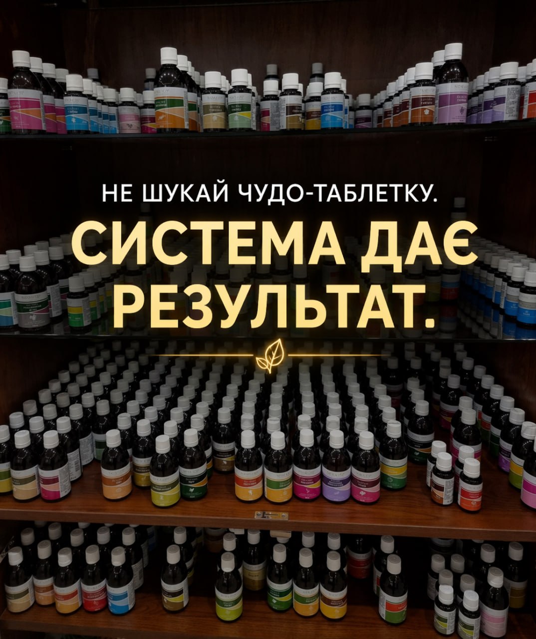 Сколько времени принимать продукцию NEW LIFE — этапы и курсы сколько времени принимать БАДы NEW LIFE курс очищения и восстановления организма