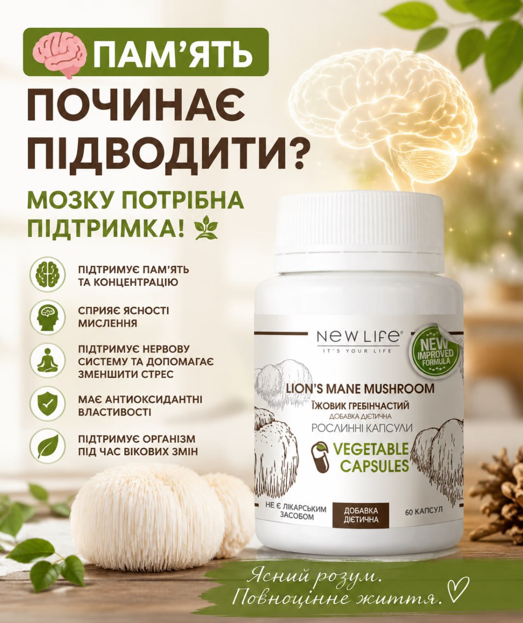 Ежовик гребенчатый Lion’s Mane Mushroom для поддержки мозга памяти и нервной системы