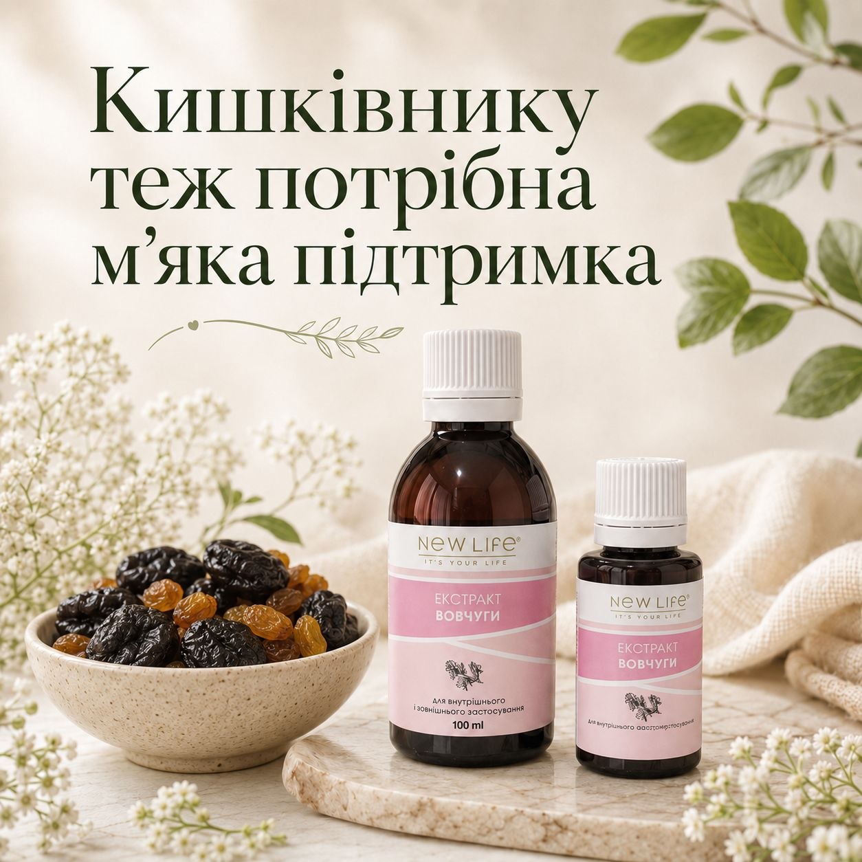 Поддержка кишечника при запорах: чернослив и экстракт стальника Мягкая поддержка кишечника при запорах, чернослив, клетчатка и экстракт стальника NEW LIFE